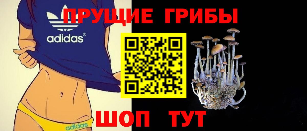 Псилоцибиновые грибы прущие грибы Киров